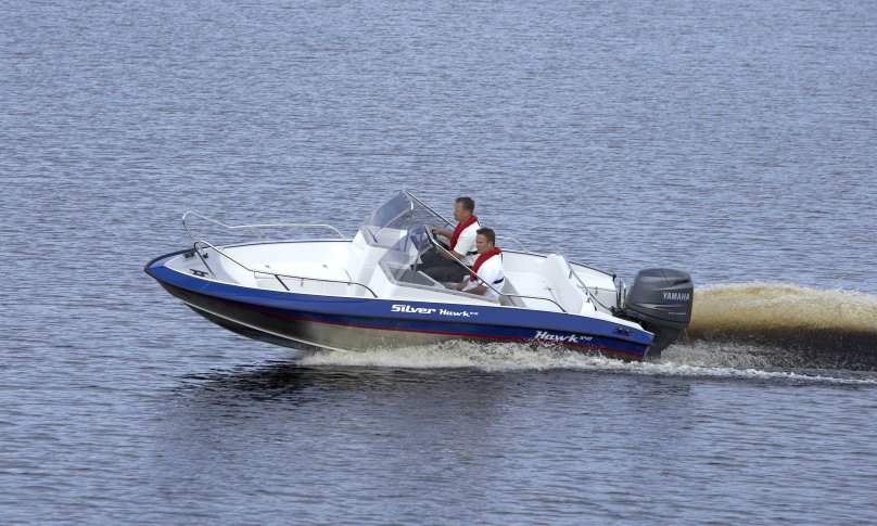 Сильвер Хавк 540