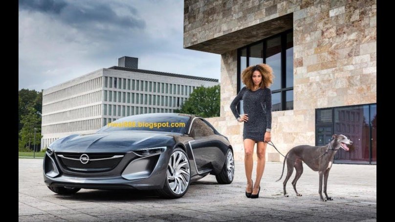 Opel Monza 2013