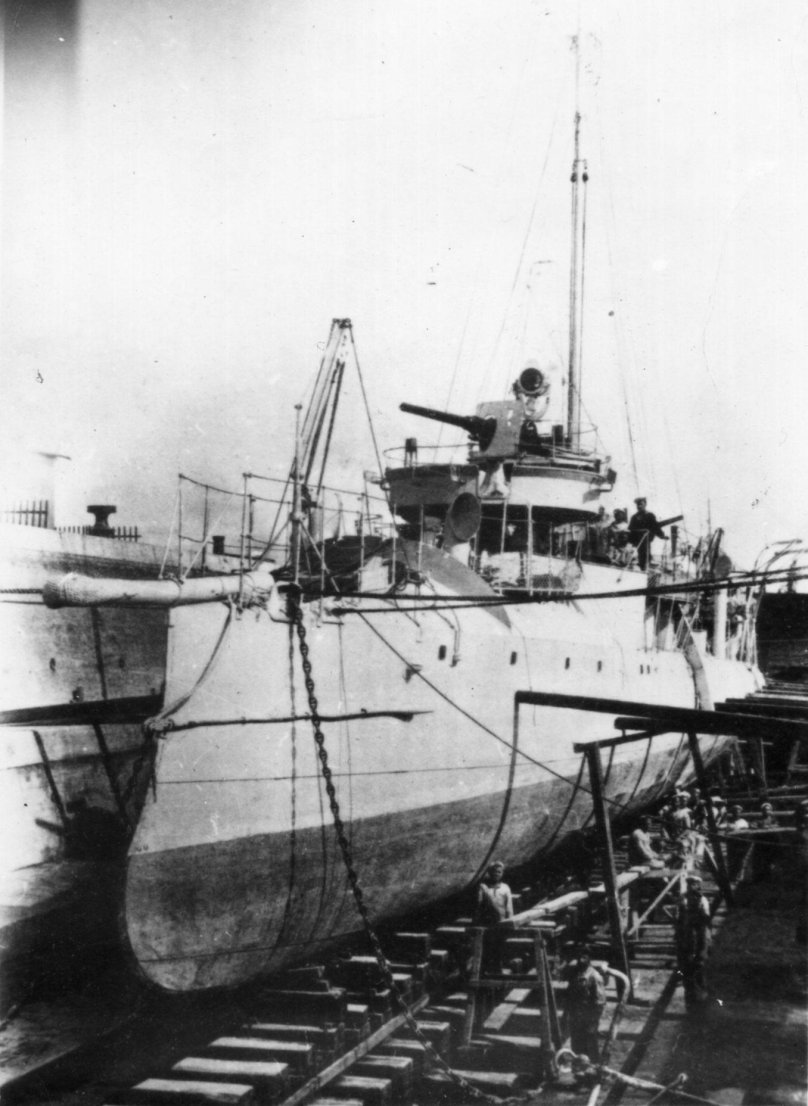 Миноносец лосось