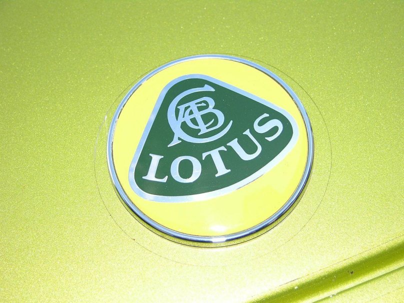 Lotus cars logo