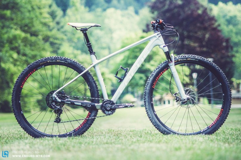 Focus Raven 29r Carbon