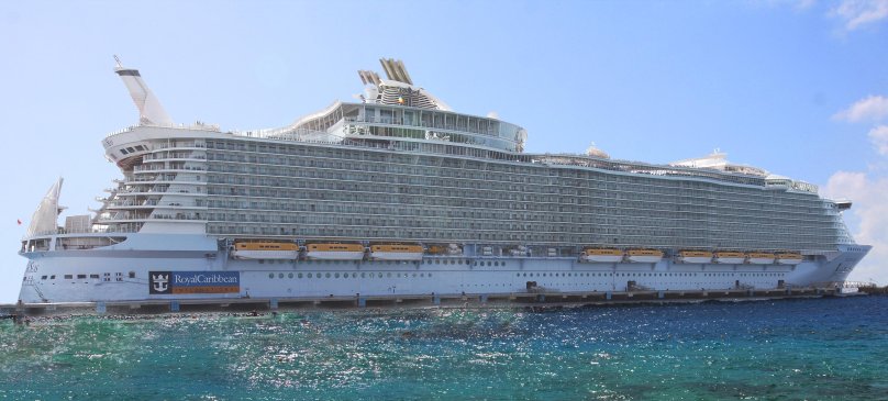 Allure of the Faeshade Flower