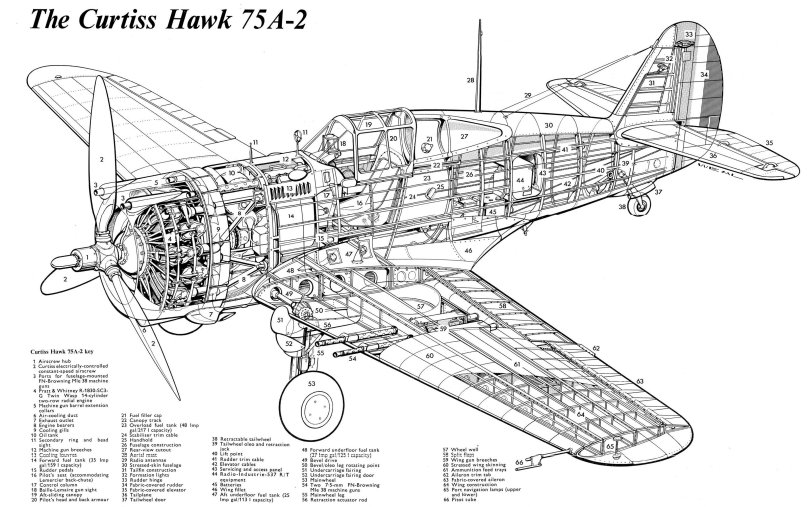 Curtiss p-40 чертеж
