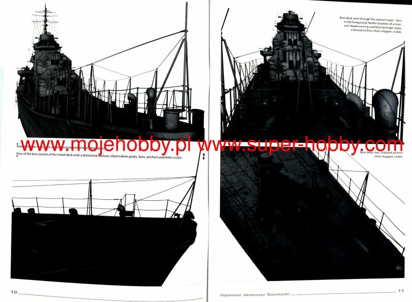 The Japanese Destroyer Suzutsuki