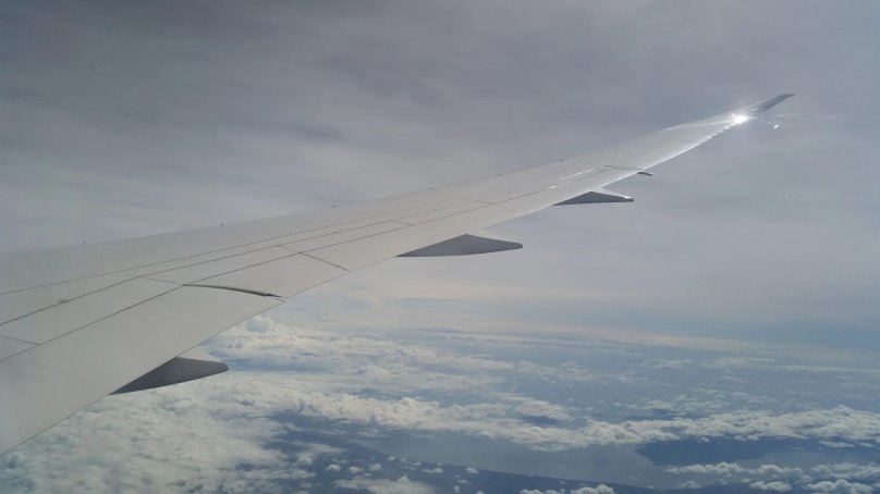 Boeing 787 Dreamliner крыло