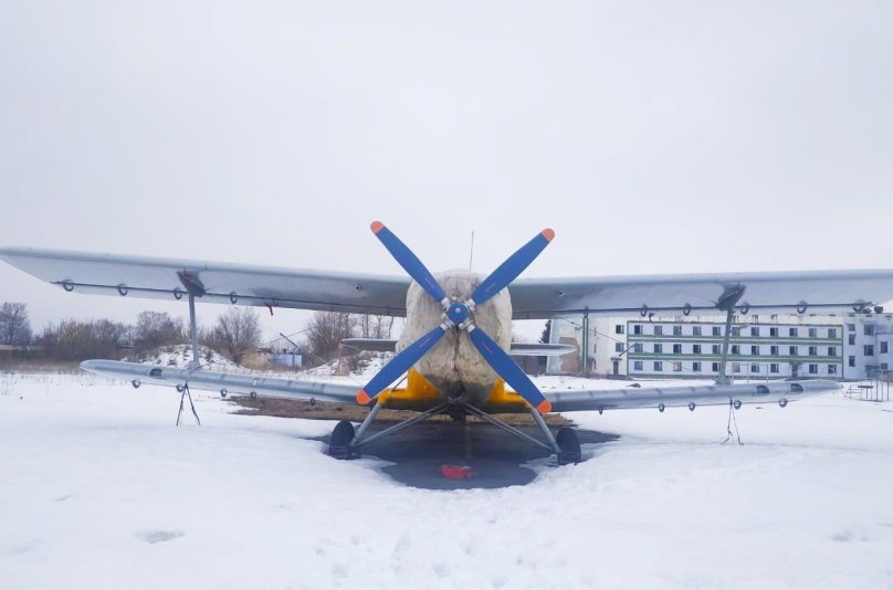 Орел и самолет