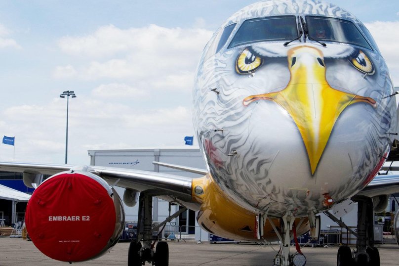 Орел и самолет