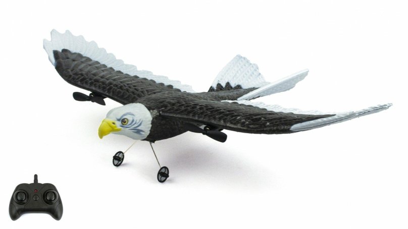 Орел и самолет