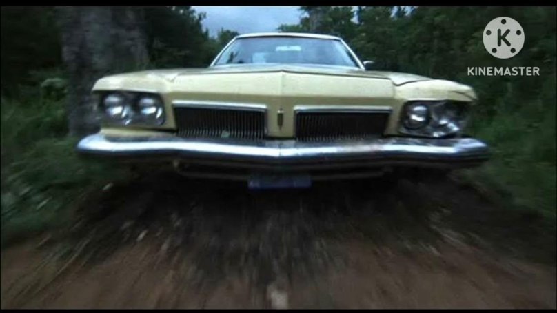 Oldsmobile Delta 88 1973