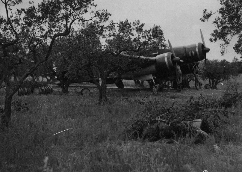 Sparviero s. 79 интерьер