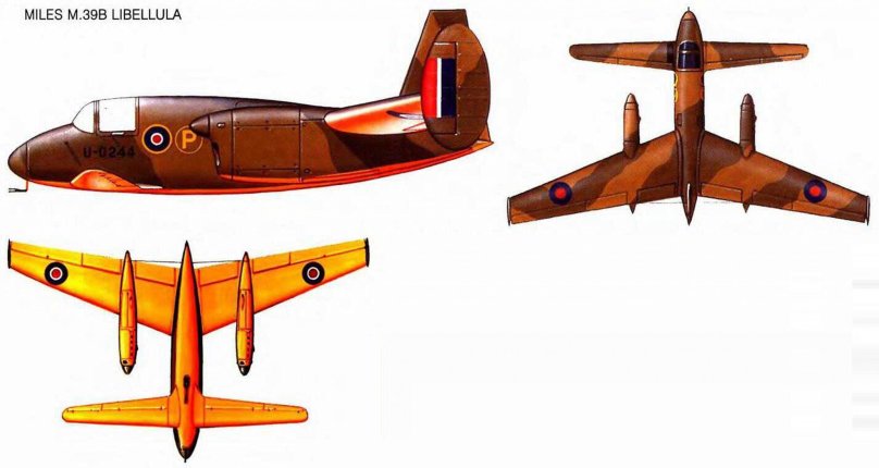 Miles n.39b Libellula