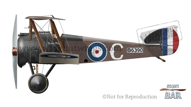 Sopwith Camel 1/32