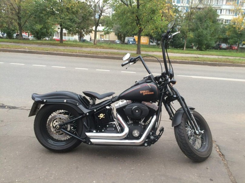 Харлей кросс бонс