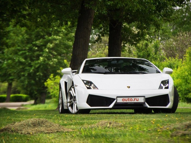Lamborghini off White