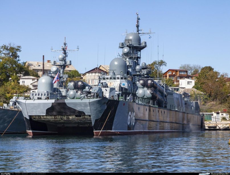 1239 Сивуч 3д модель