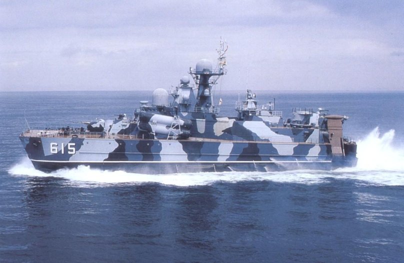 РКВП Бора проекта 1239