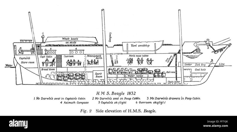 Корабль Бигль Дарвин каюта