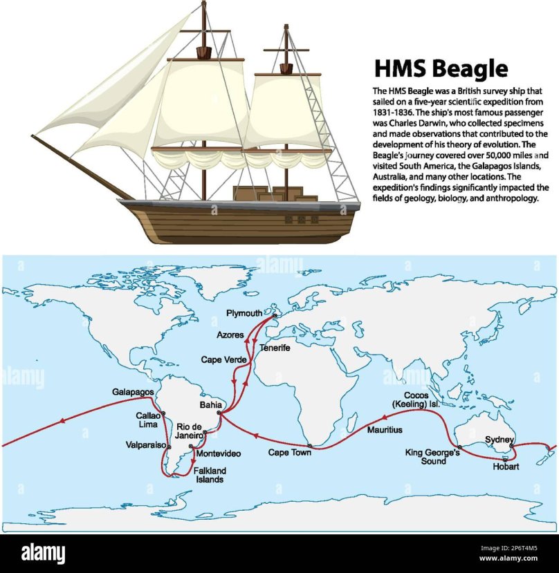 Корабль Бигль Дарвин
