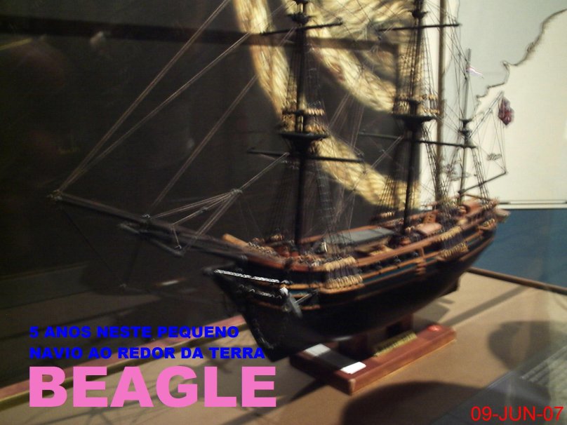 Корабль Бигль модели