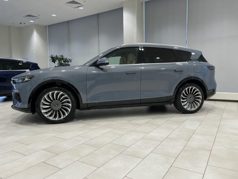 Voyah free серый