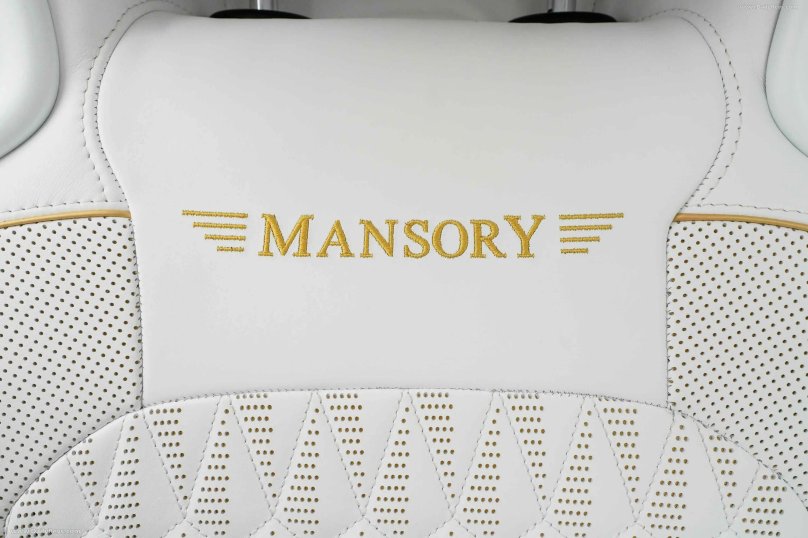 Mansory venatus Coupe EVO C