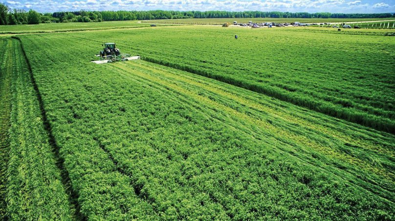 Кормозаготовка в сельском хозяйстве