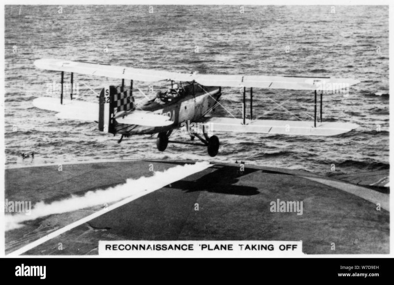 Блэкберн Шарк