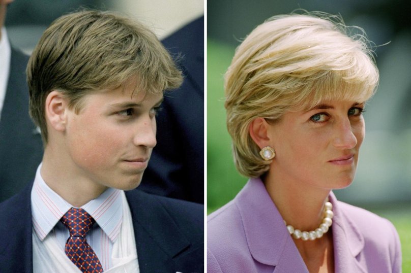 Принц Гарри и Уильям фото с Дианой