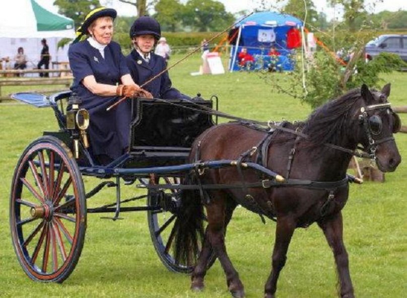 Бричка двуколка