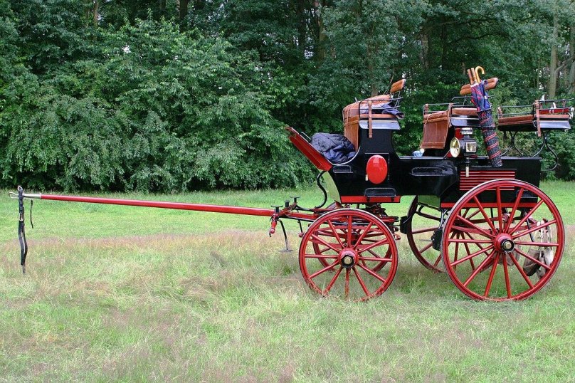 Buffalo Electric Carriage Golf Brake