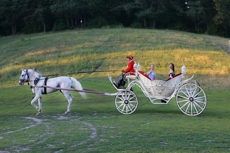 Карета Фаэтон для лошади