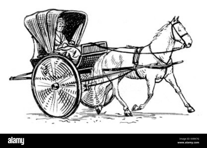 Карета Фаэтон для лошади