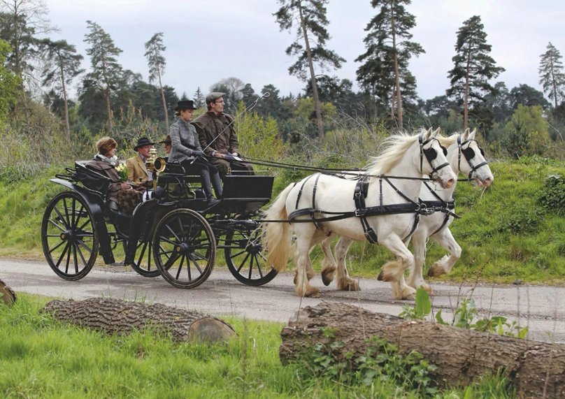 Конные экипажи 19 века в России