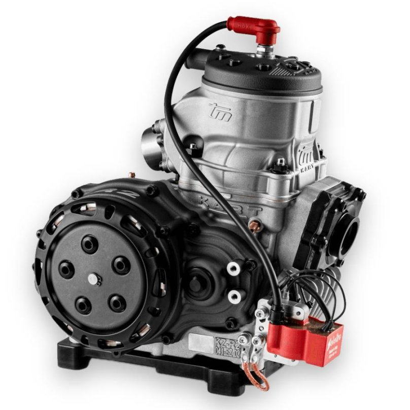 Мотор tm162fmt 150