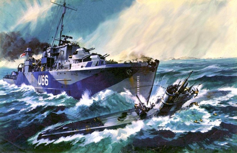 Шлюп Блэк Свон