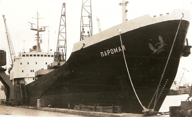 Сухогруз лесовоз