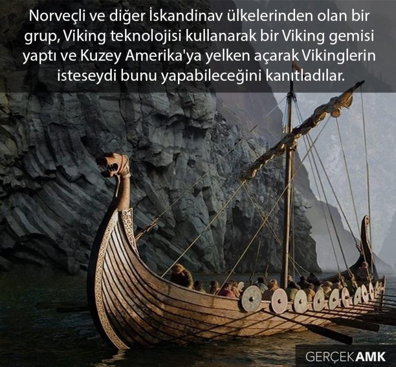 Корабли викингов драккары