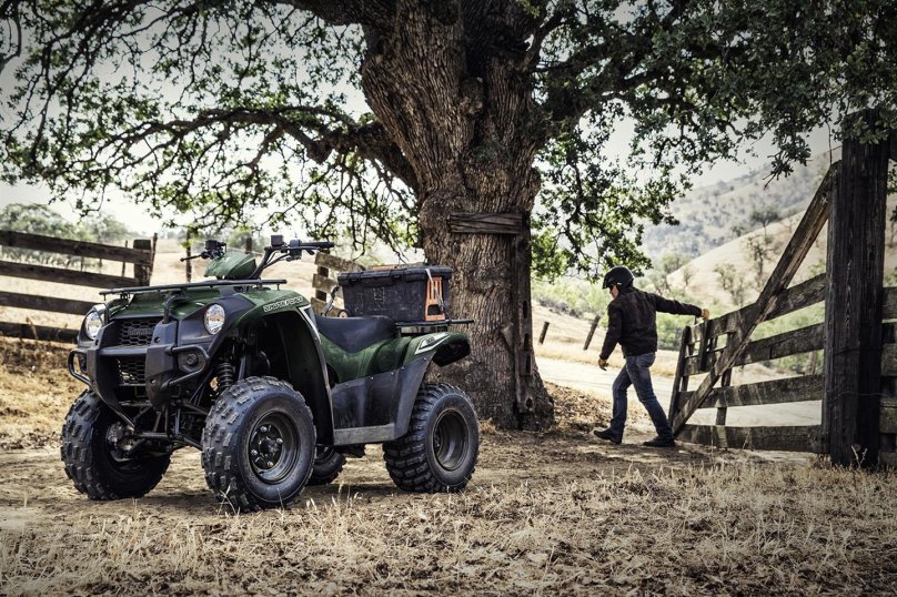 Kawasaki KVF 300 Brute Force, 2020