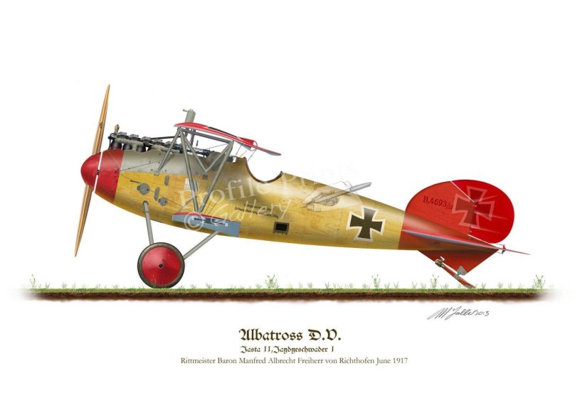 Самолёт красного барона Альбатрос