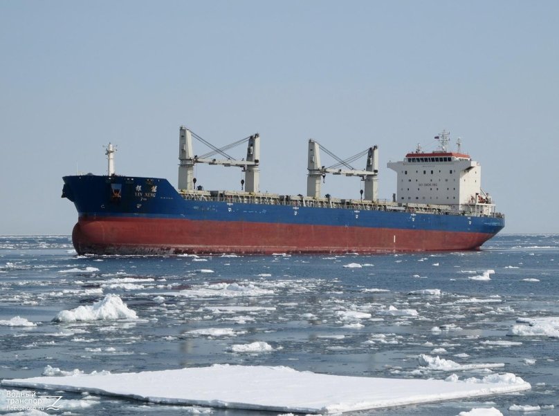 Балкер матрос кошка