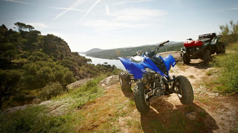 Yamaha Raptor 350