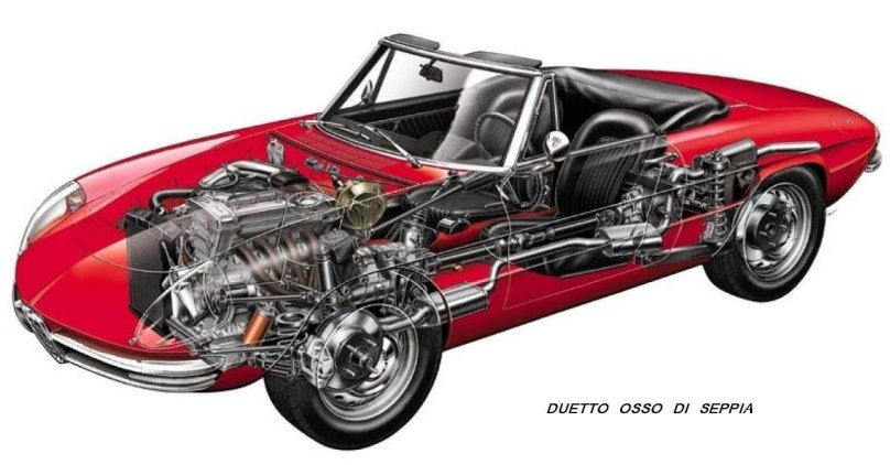 1967 Alfa Romeo Duetto 1600 Spider