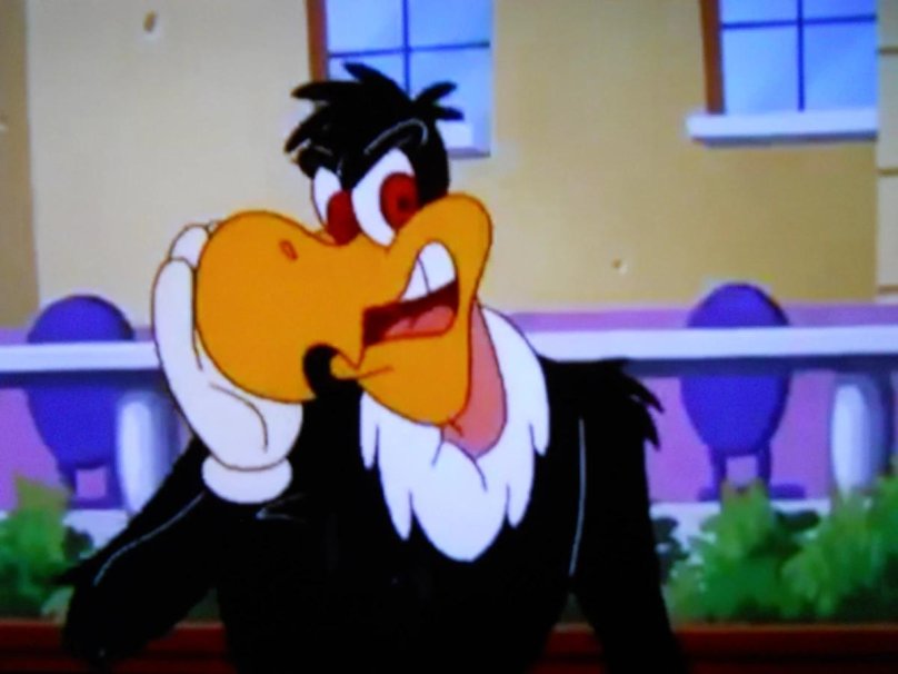 Woody Woodpecker and Buzz Buzzard