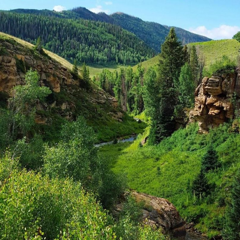 Лесистые скалы Норботтена