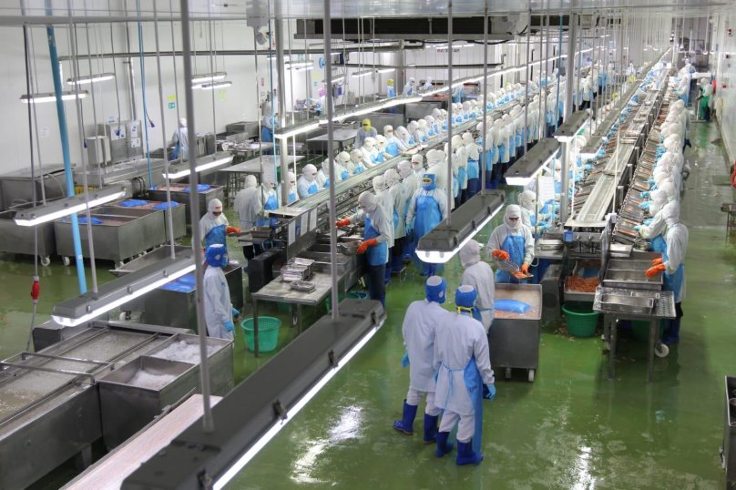 Рыбообрабатывающий завод Норвегия