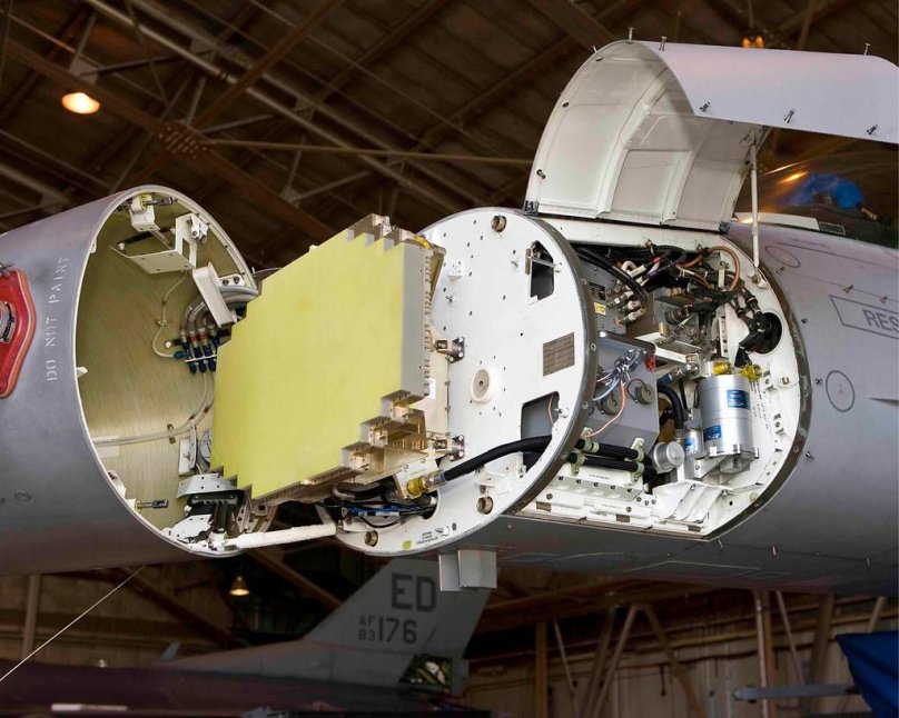 Афар БРЛС Жук