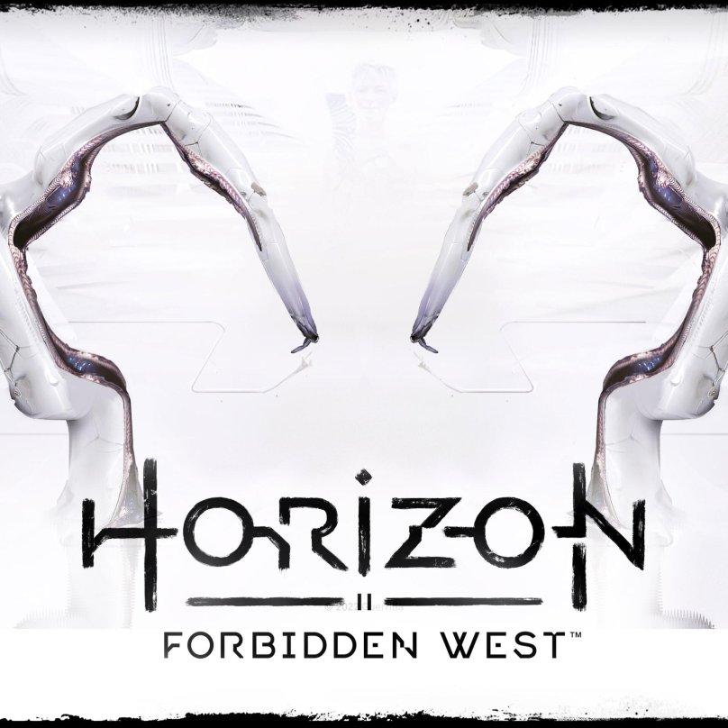 Horizon Forbidden West надпись