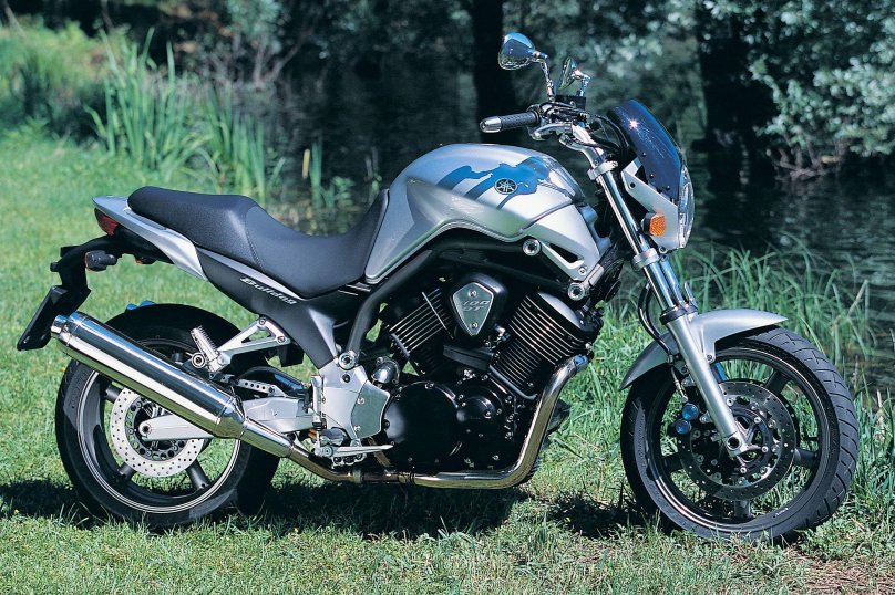 Yamaha Bulldog 1100