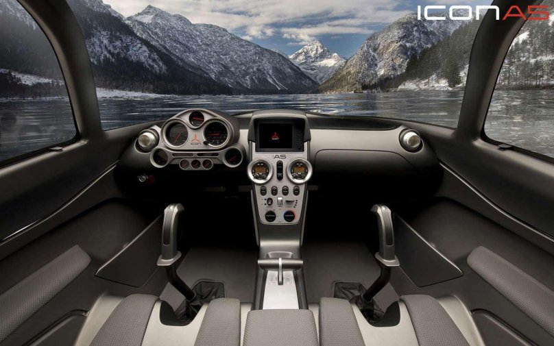 Icon a5 Cockpit