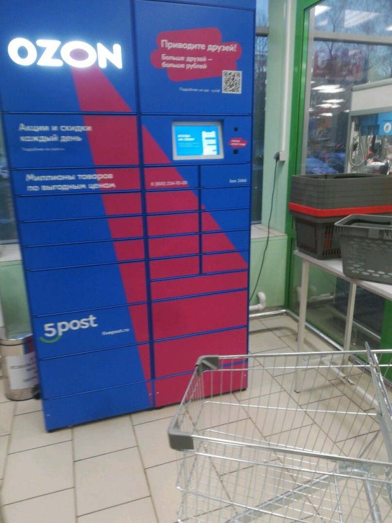 Самолет Озон